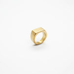 RING • PLANE (GOLD)